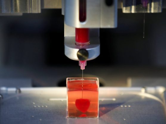 A 3D printer prints what Israeli scientists from Tel Aviv University say is the world’s first 3D-printed, vascularised engineered heart, during a demonstration at a laboratory in the university, Tel Aviv, Israel April 15, 2019. REUTERS/Amir Cohen
